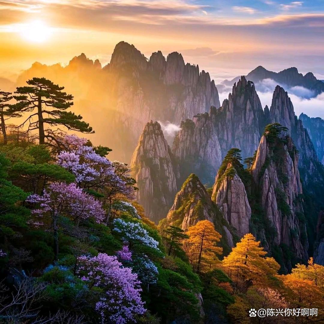 红姑