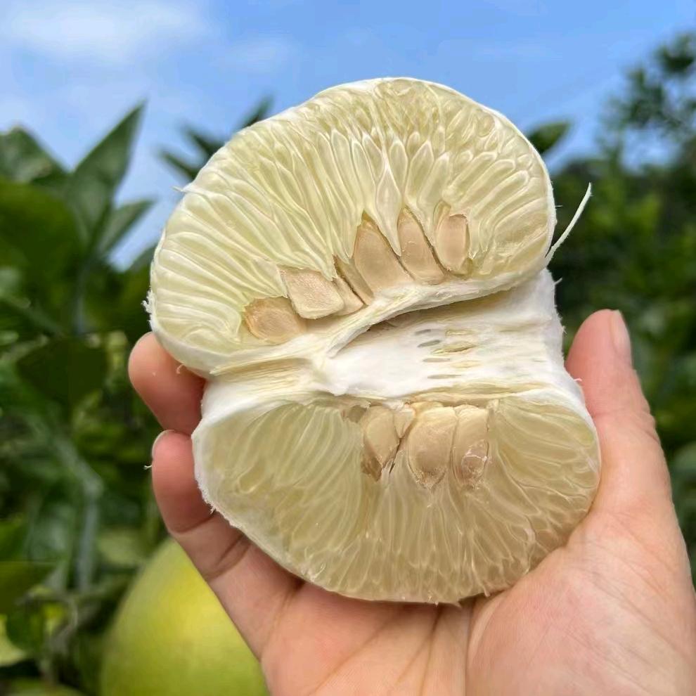 安福蚕子萍乡店