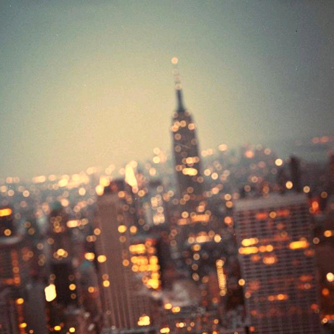 枫