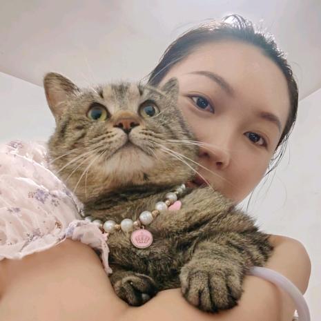 ☁️云懒猪🐷
