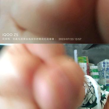 一家幸福的生活