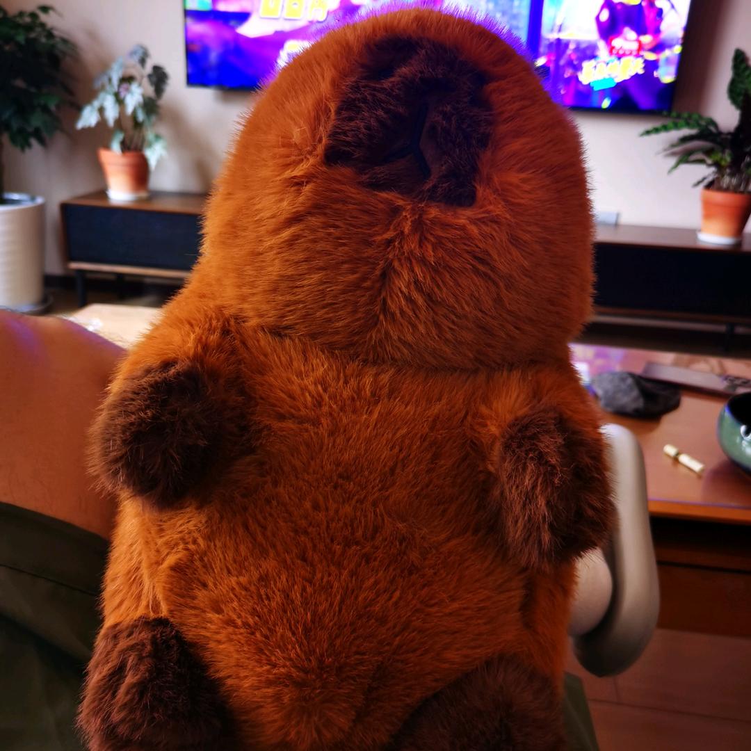 当初奏不应该学吉他🎸