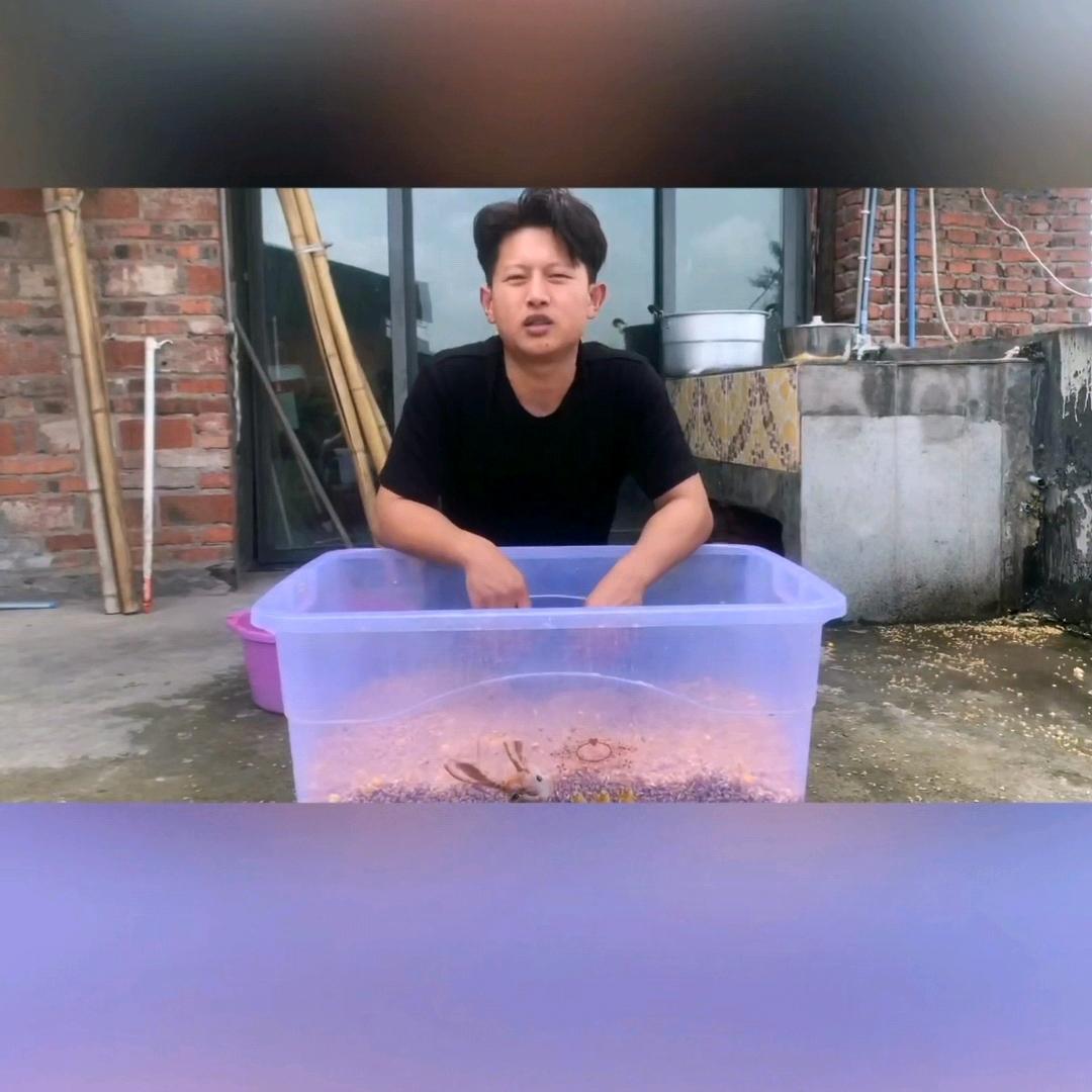 梓秋《爱钓鱼》