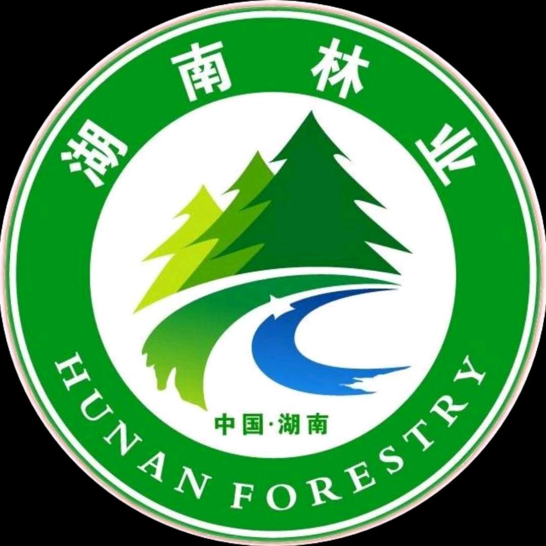 一叶枫成