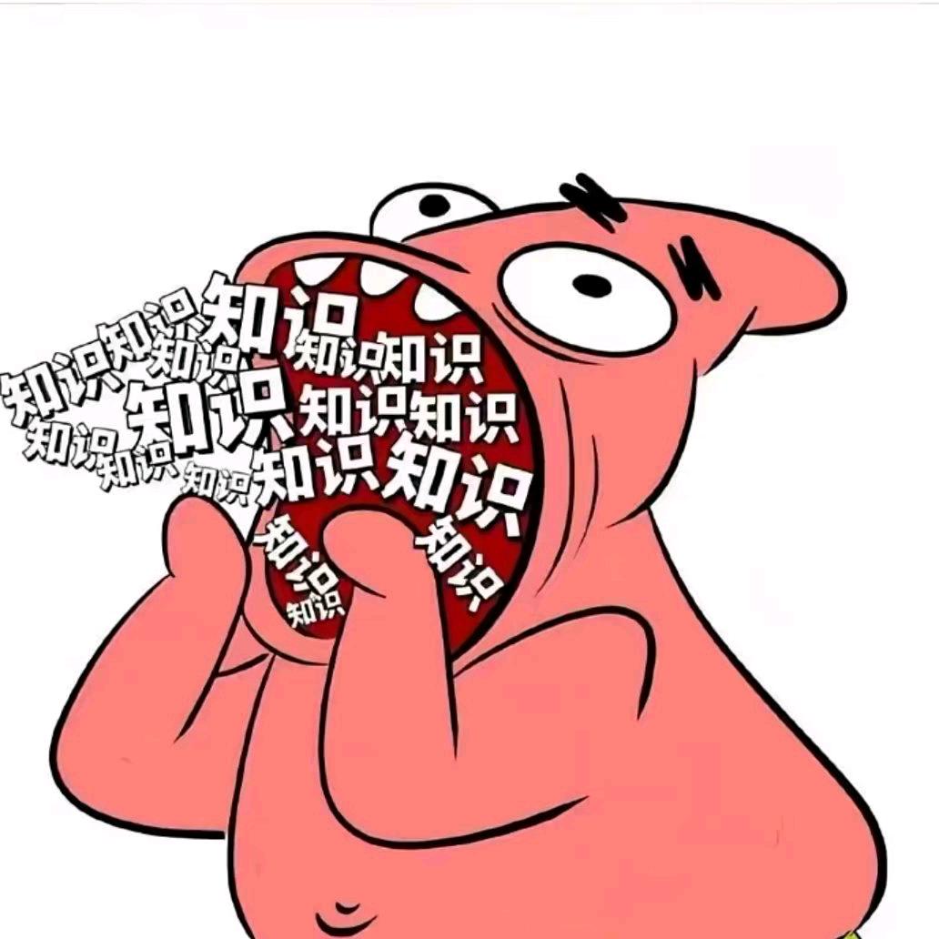 ㅤㅤㅤㅤㅤㅤ111