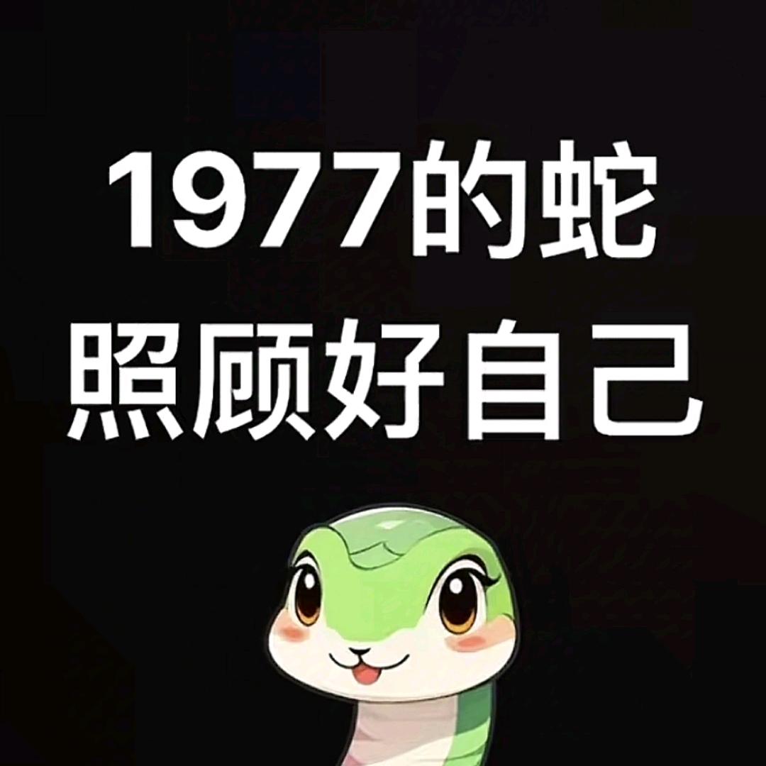单身父亲