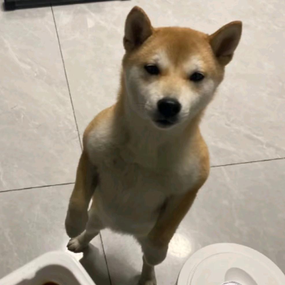 哎呦^