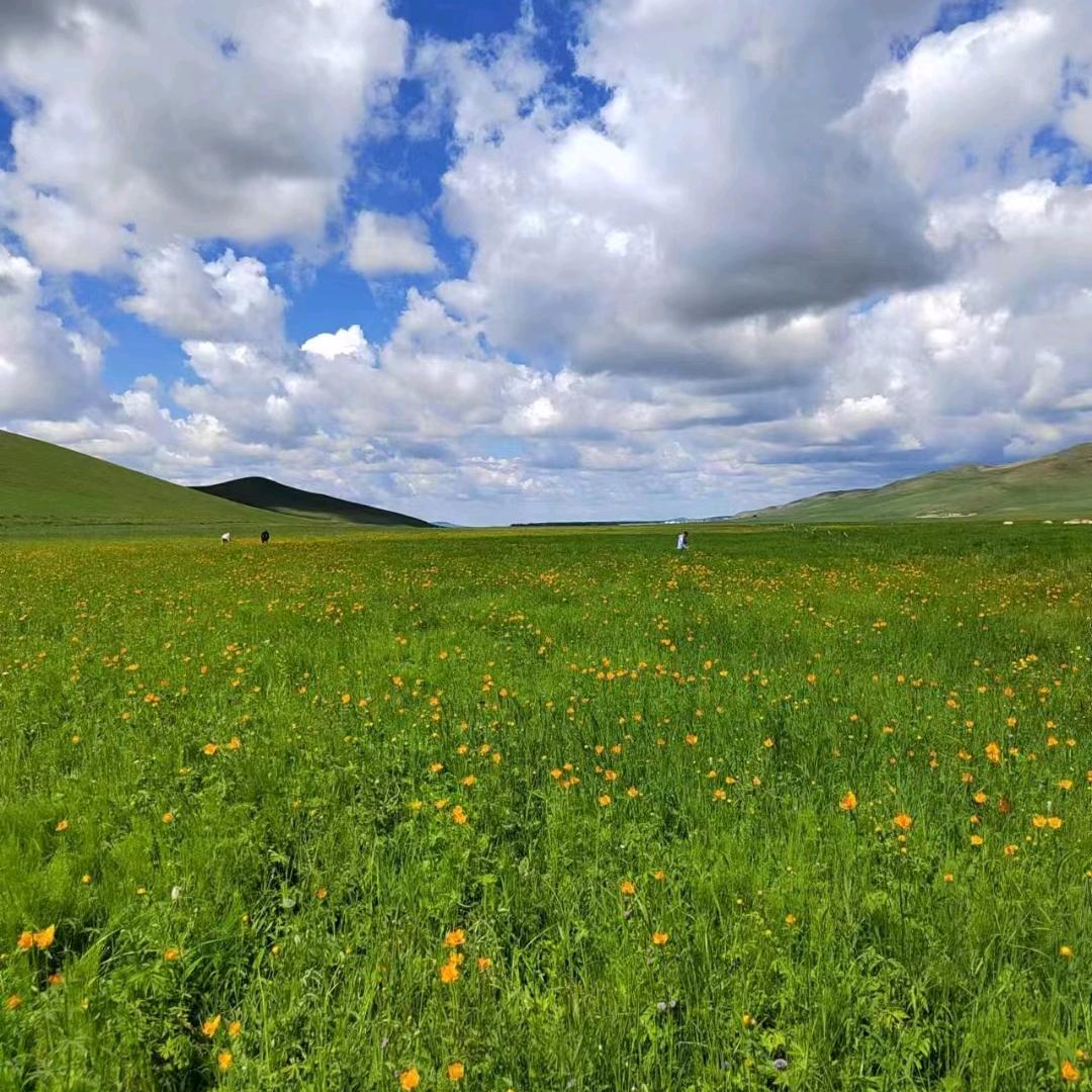 乌兰布统草原天簌民宿欢迎您
