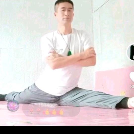 辰 楓 髙 飛