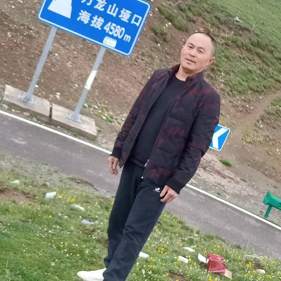 自由自在