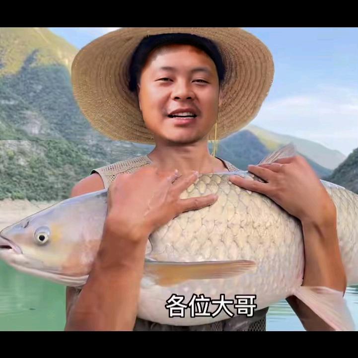 不打龟的包先生