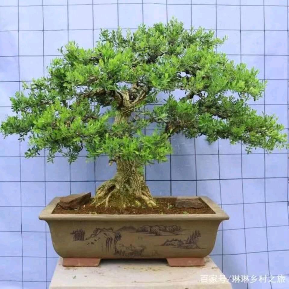 明天会更，美好