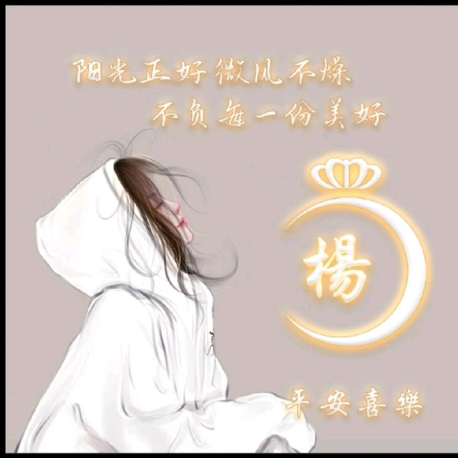 晓文🌺
