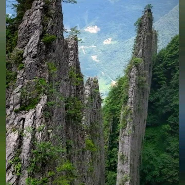 用户8308705290728过客