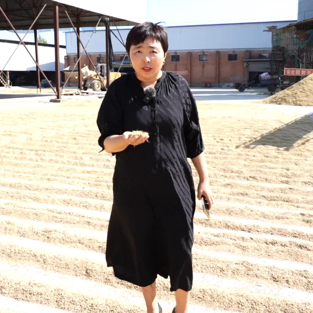 吉林大米厂家｜京钿米业