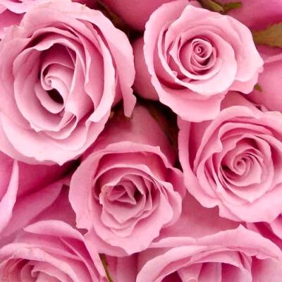 百里凝香（甜宝草莓+秋月梨+莱阳产地）