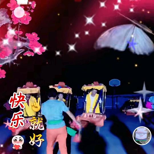 用心大姐