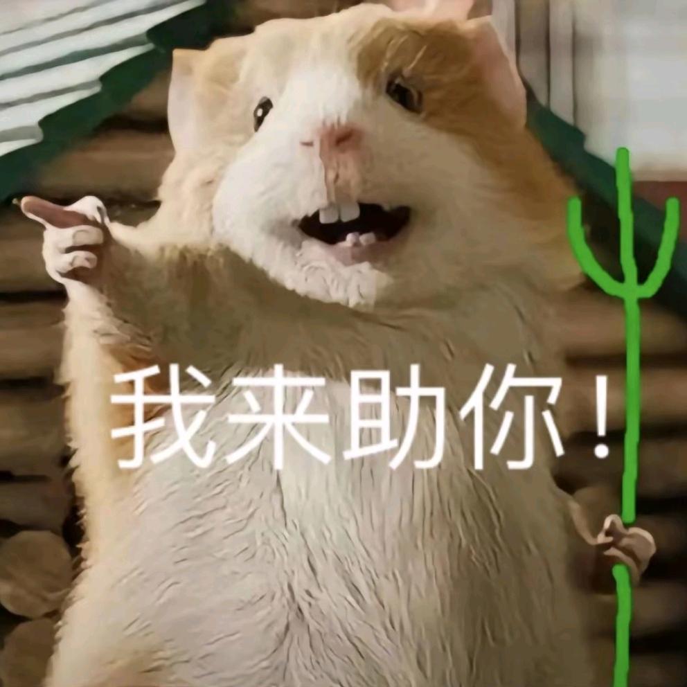 再熬夜我就是狗