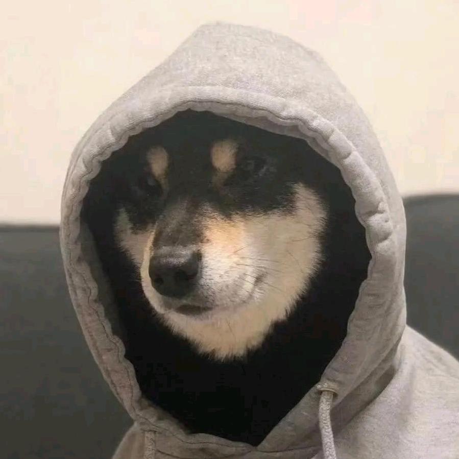懒杨杨灬