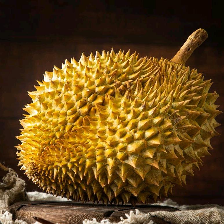 工厂直发