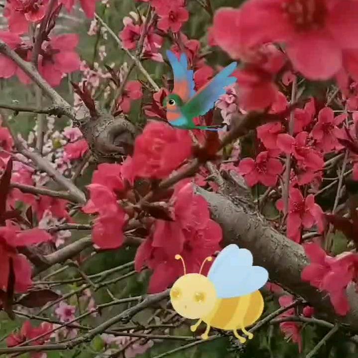 徐姐爱追剧