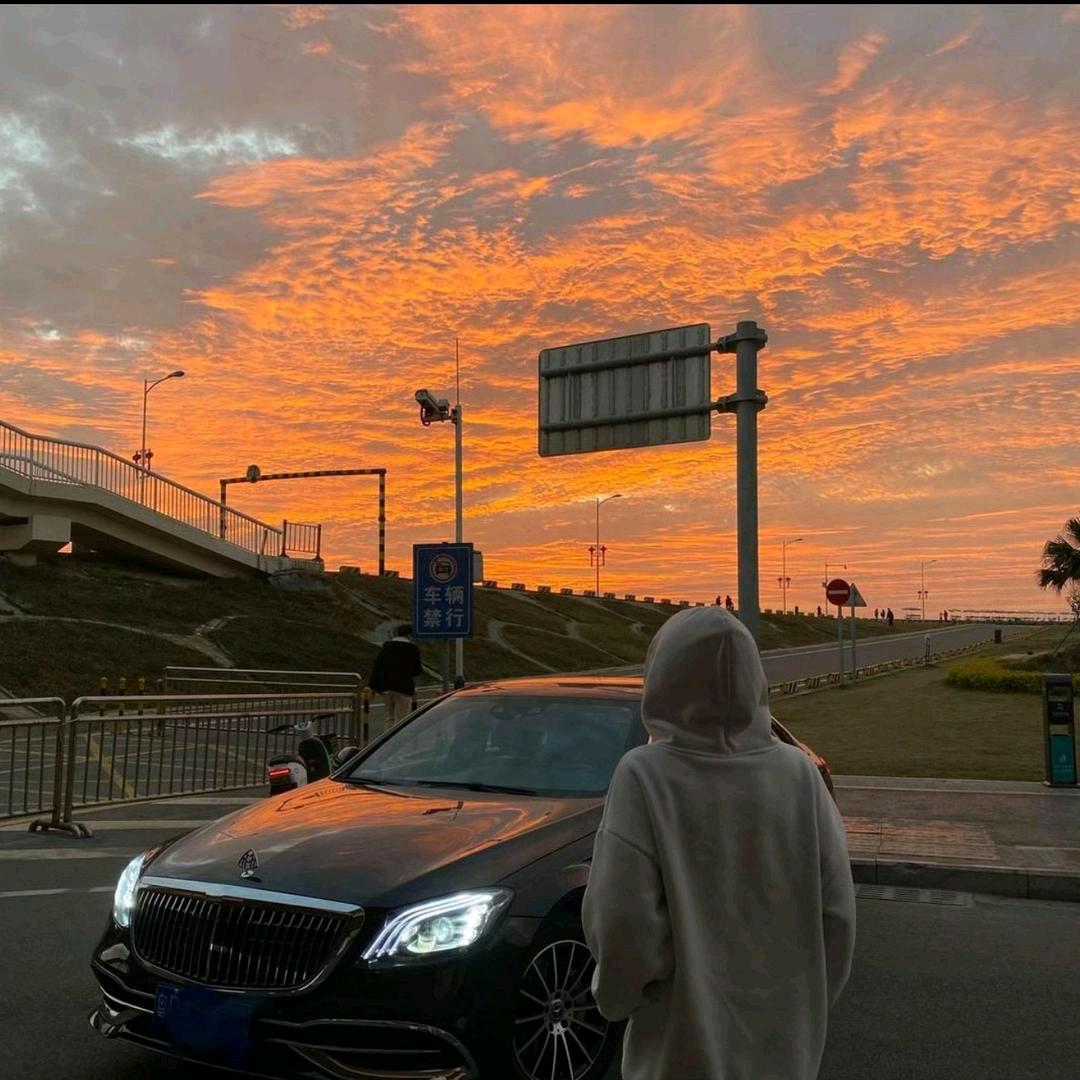 ☀️猫咪🐱🌿