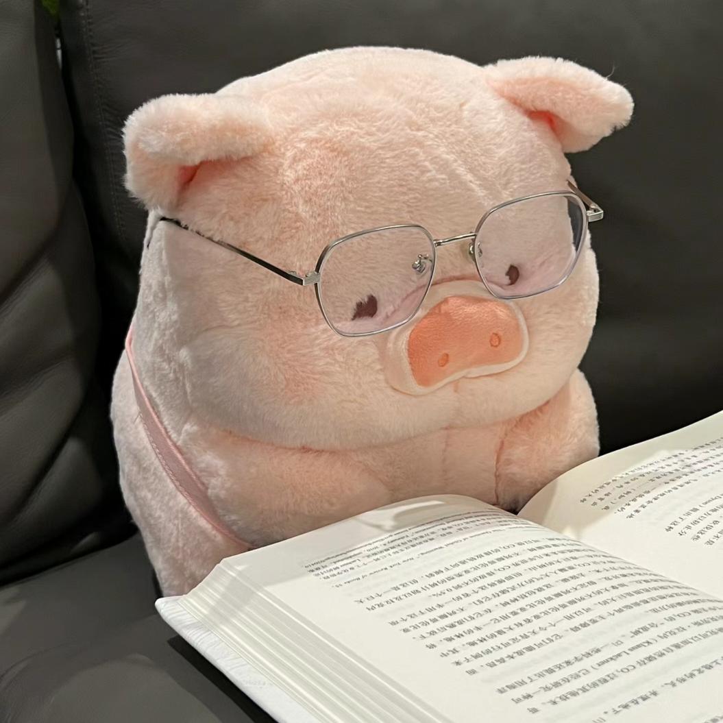 麦兜在学习ing📚