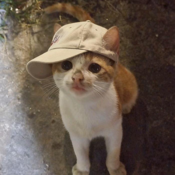 山楂片