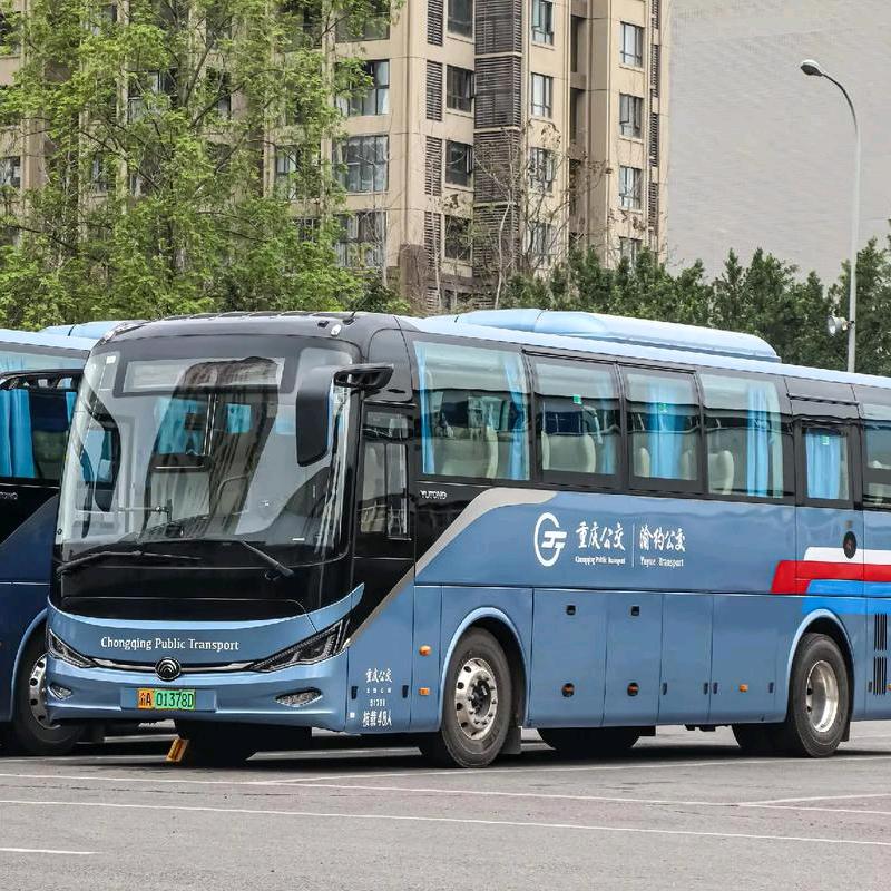 公交爱好者小戴