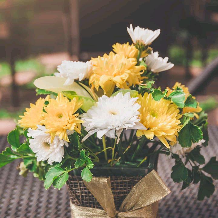 橘子苹果梨那个香蕉