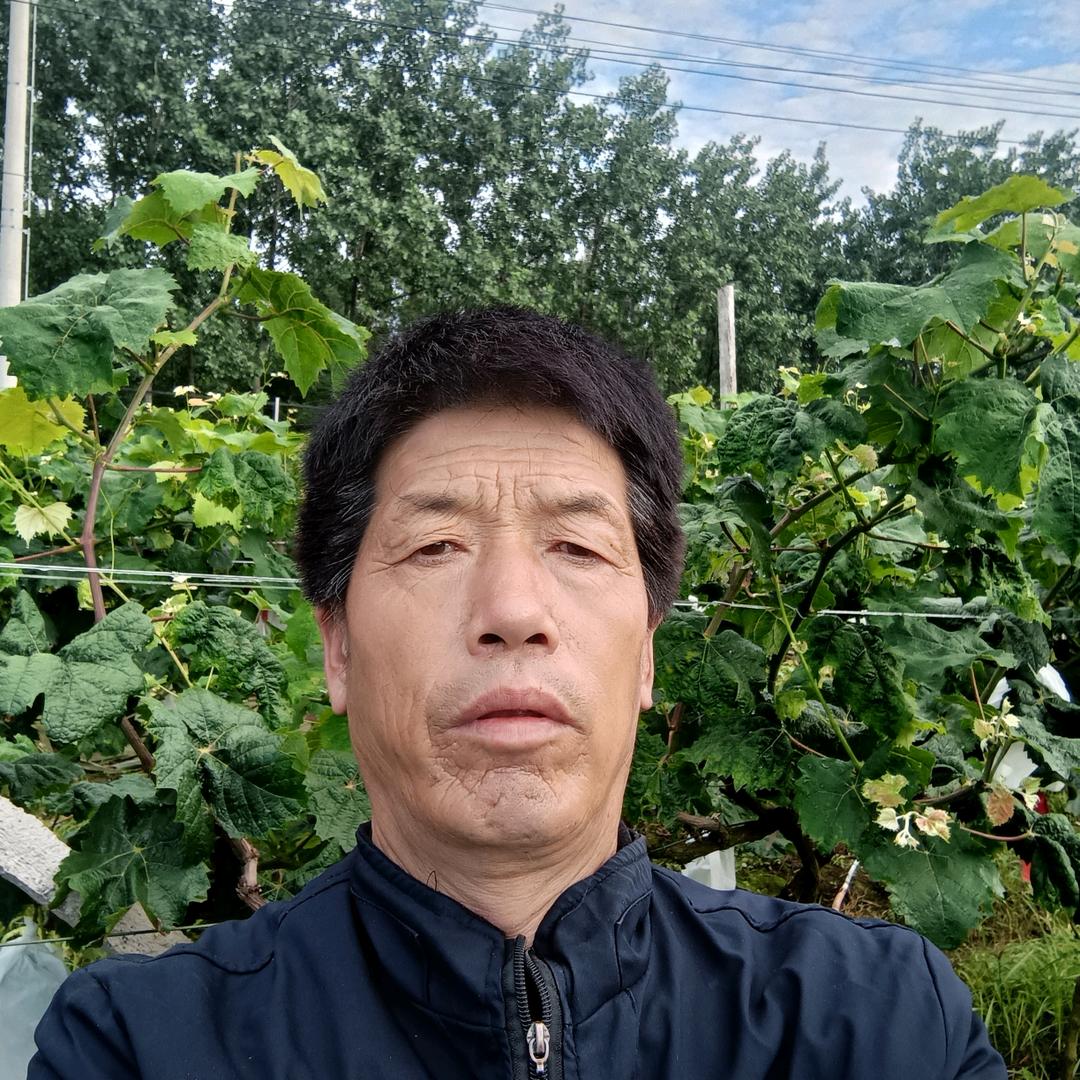 黄麓一哥