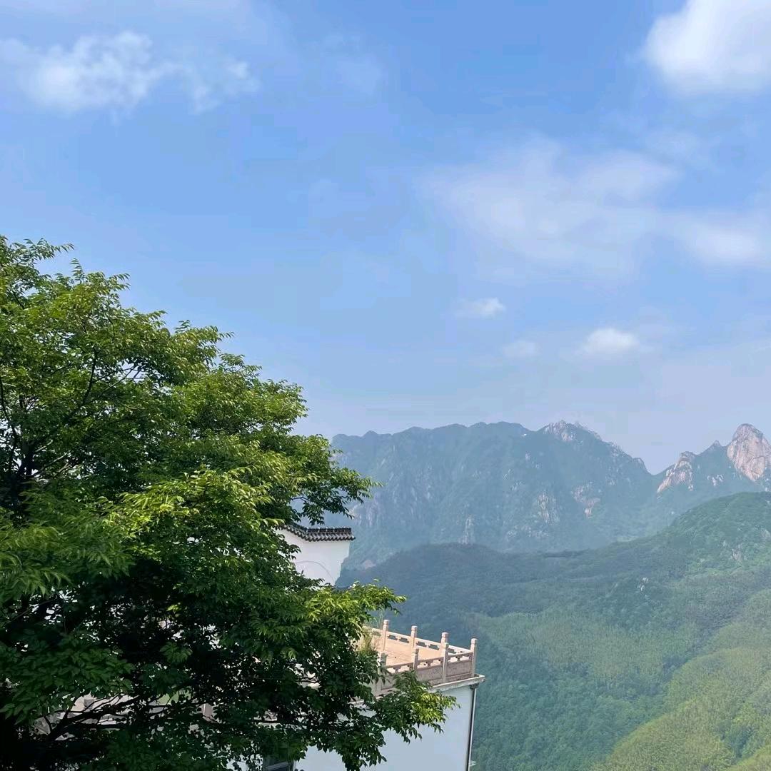 顺理成张