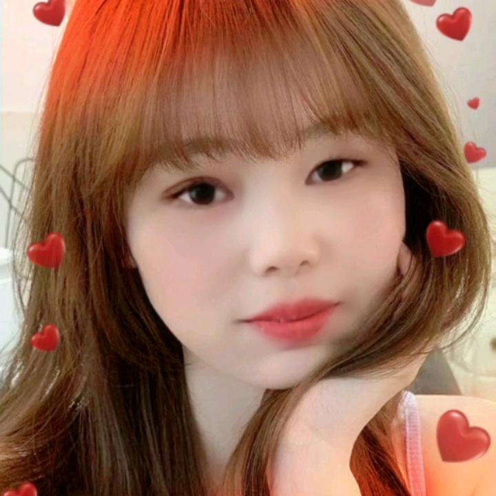 小燕子