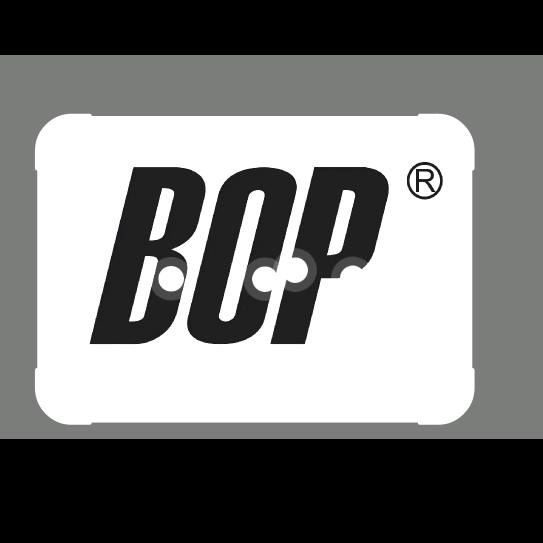 BOP保镖定州辰辰车品商贸店