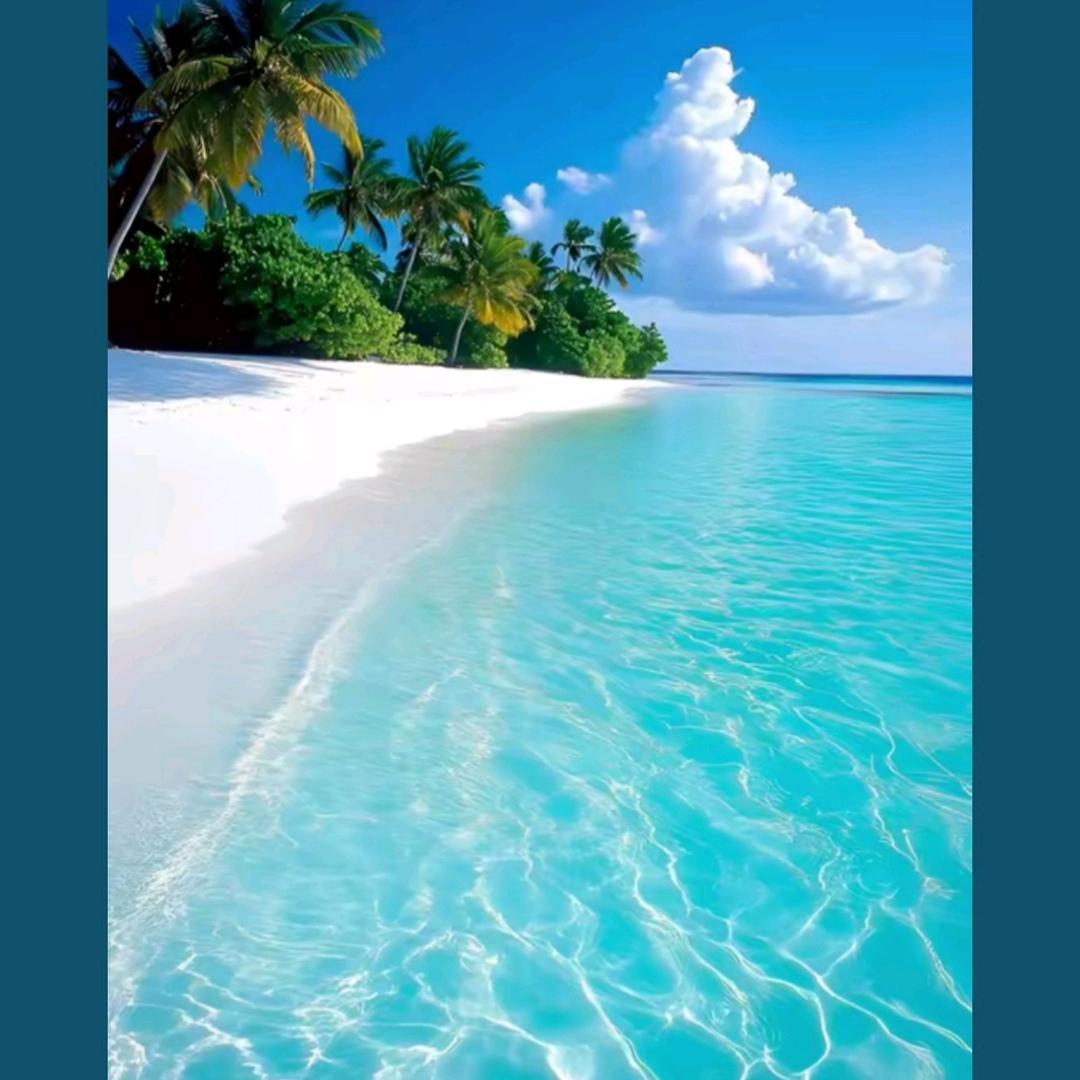 鑫海