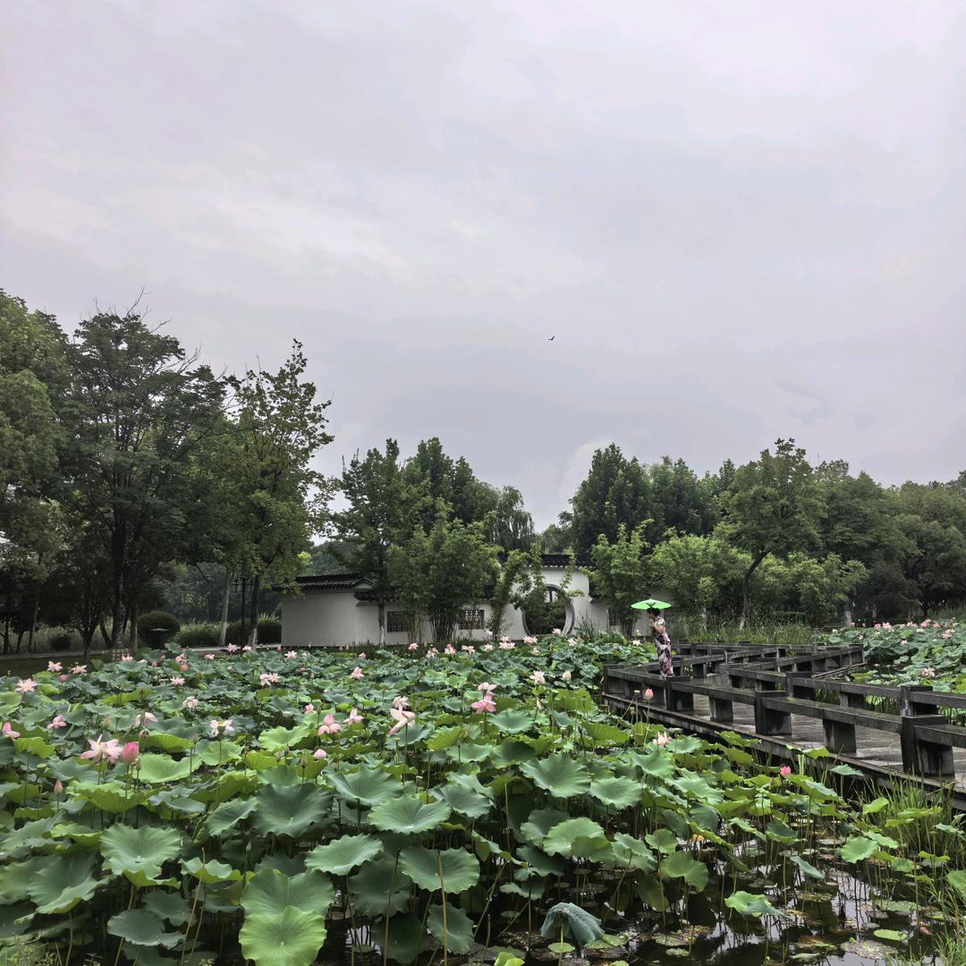 保山二手新能源车