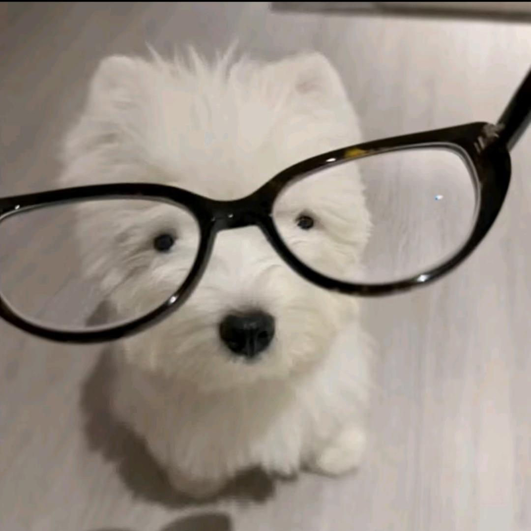 江鹤安