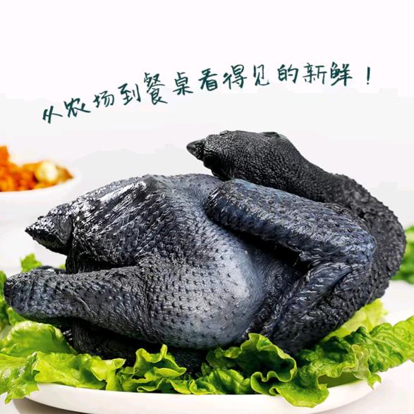 梧阳甄选