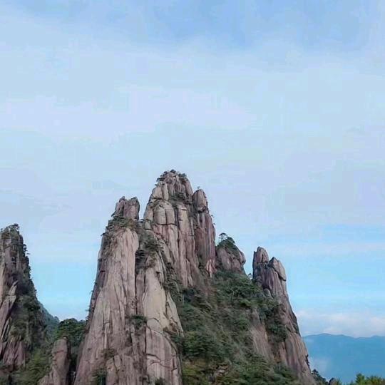 福鼎肉片—廋肉丸