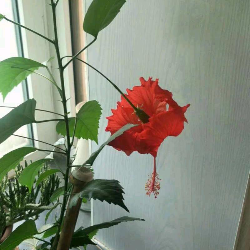 有你才幸福
