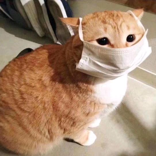 我会发财