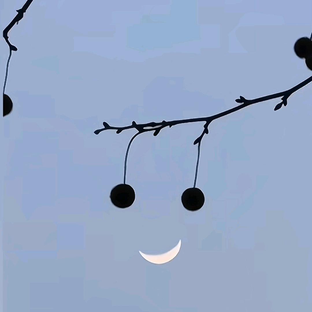 壹