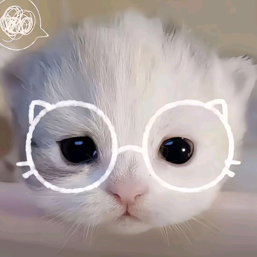 菠萝大王