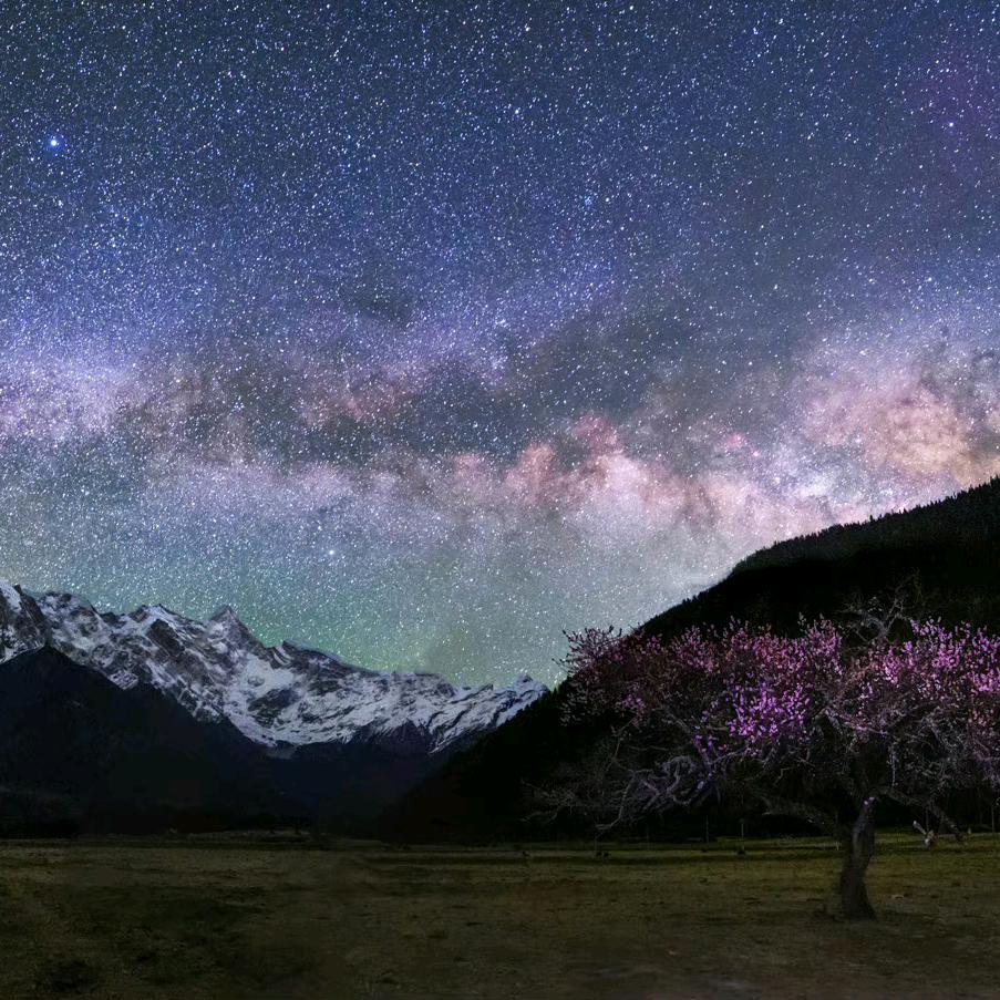 💋周公子 、🌿