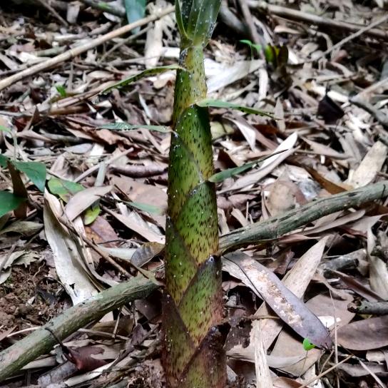 伴随流水、伴随尘