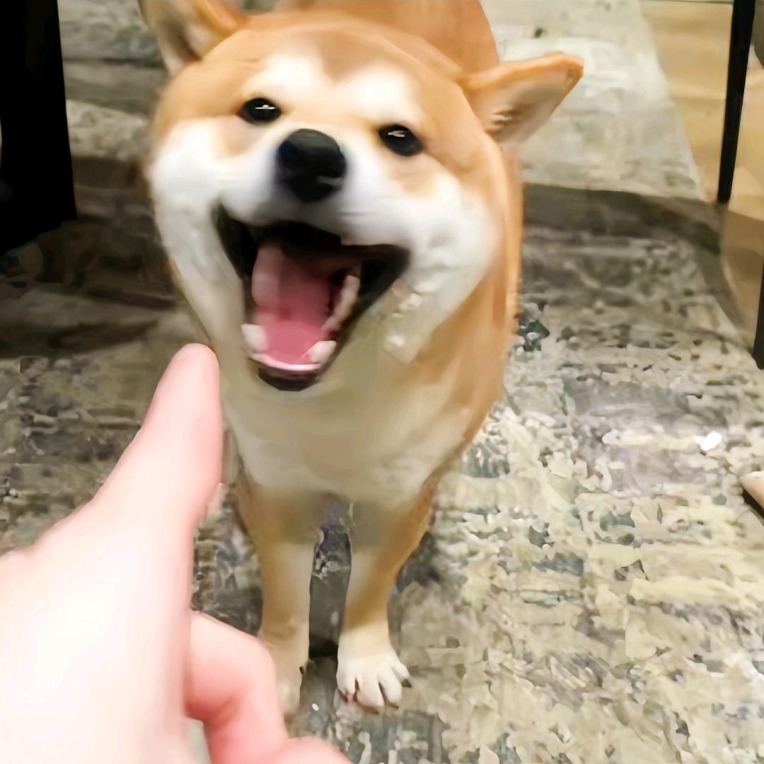 小米大卖