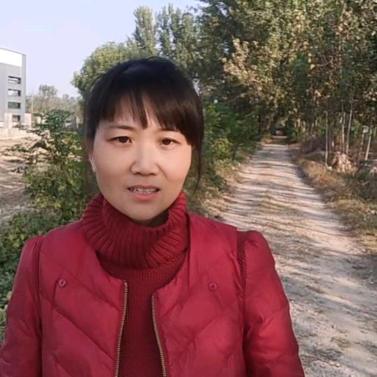 乐姗