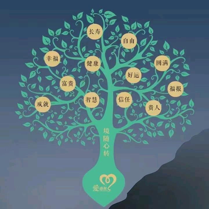 氧孚中国👏懒人神器活氧洗升级版