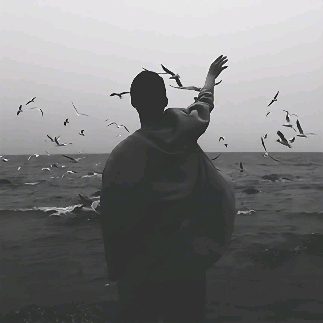 一个达不刘先生