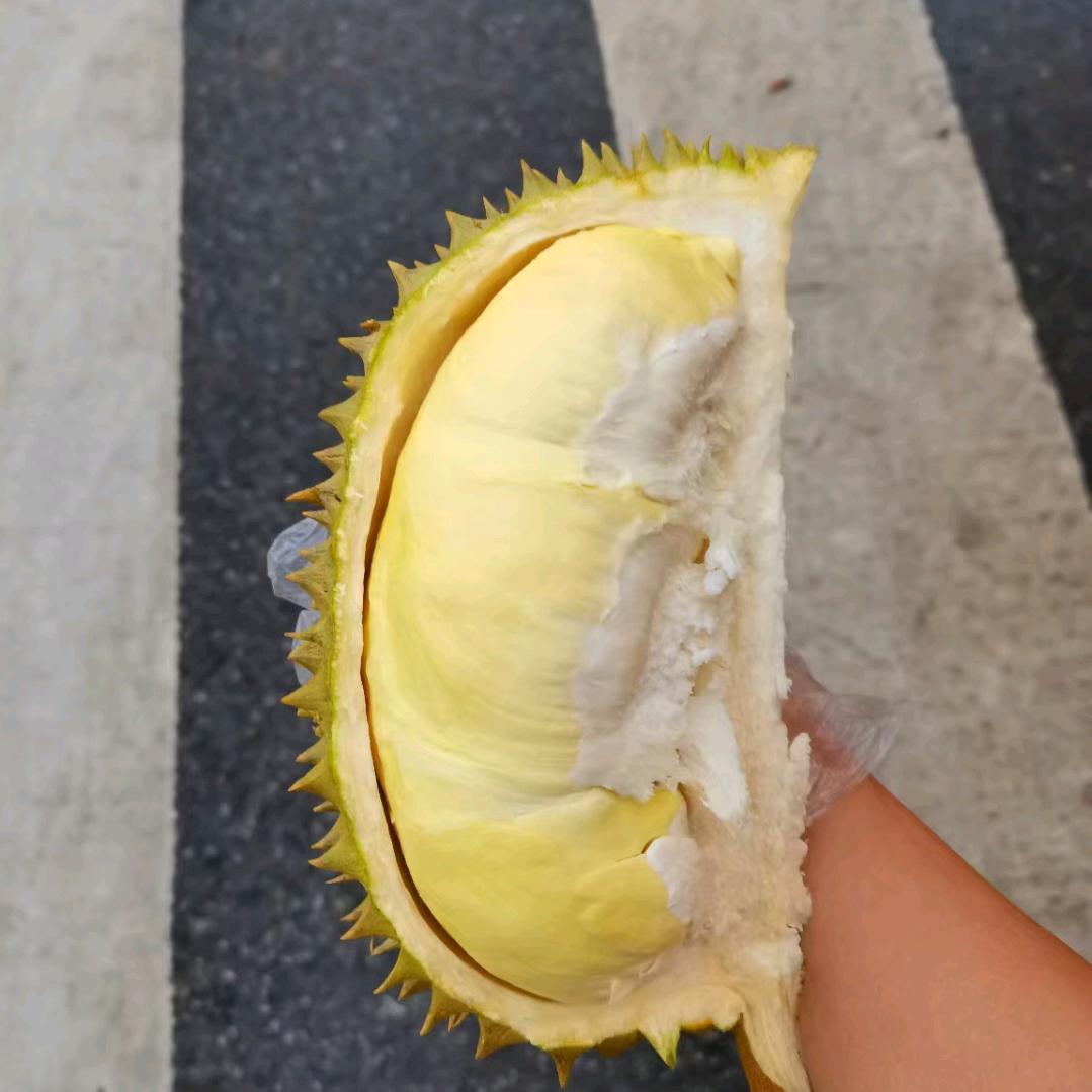 龍在江湖